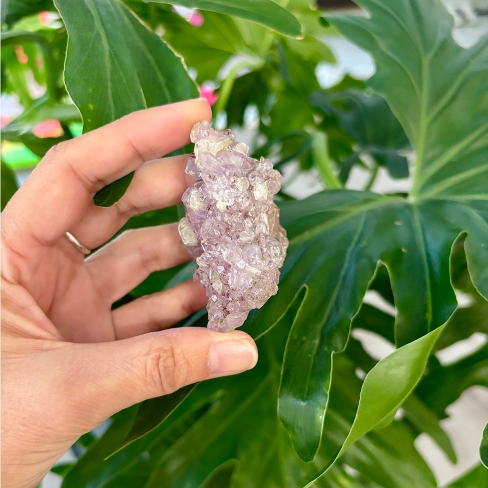 Amethyst Cluster - Picture 3 of 5